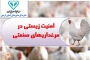 امنیت زیستی در مرغداری های صنعتی